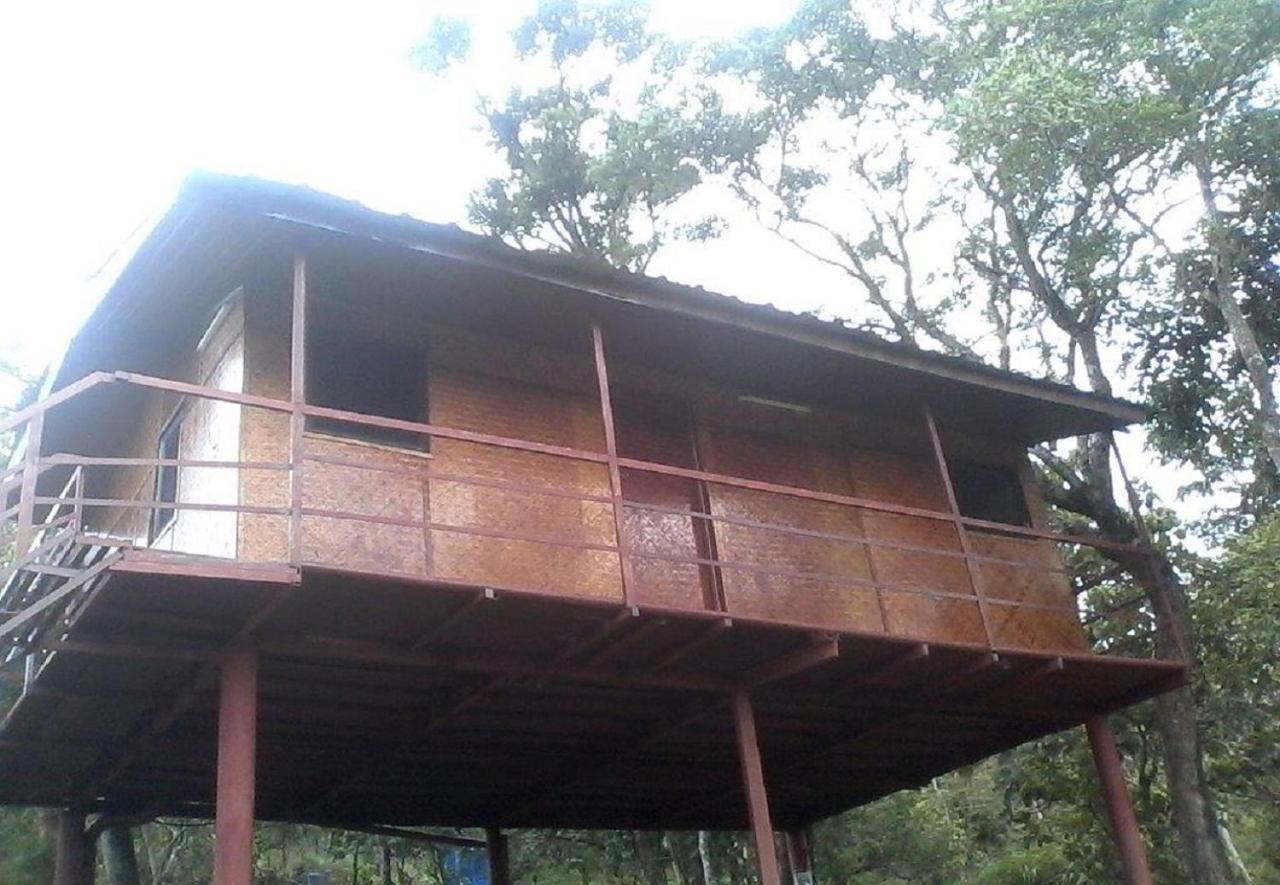 Punarjani Ayurvedic Resorts Ramakkalmedu Esterno foto