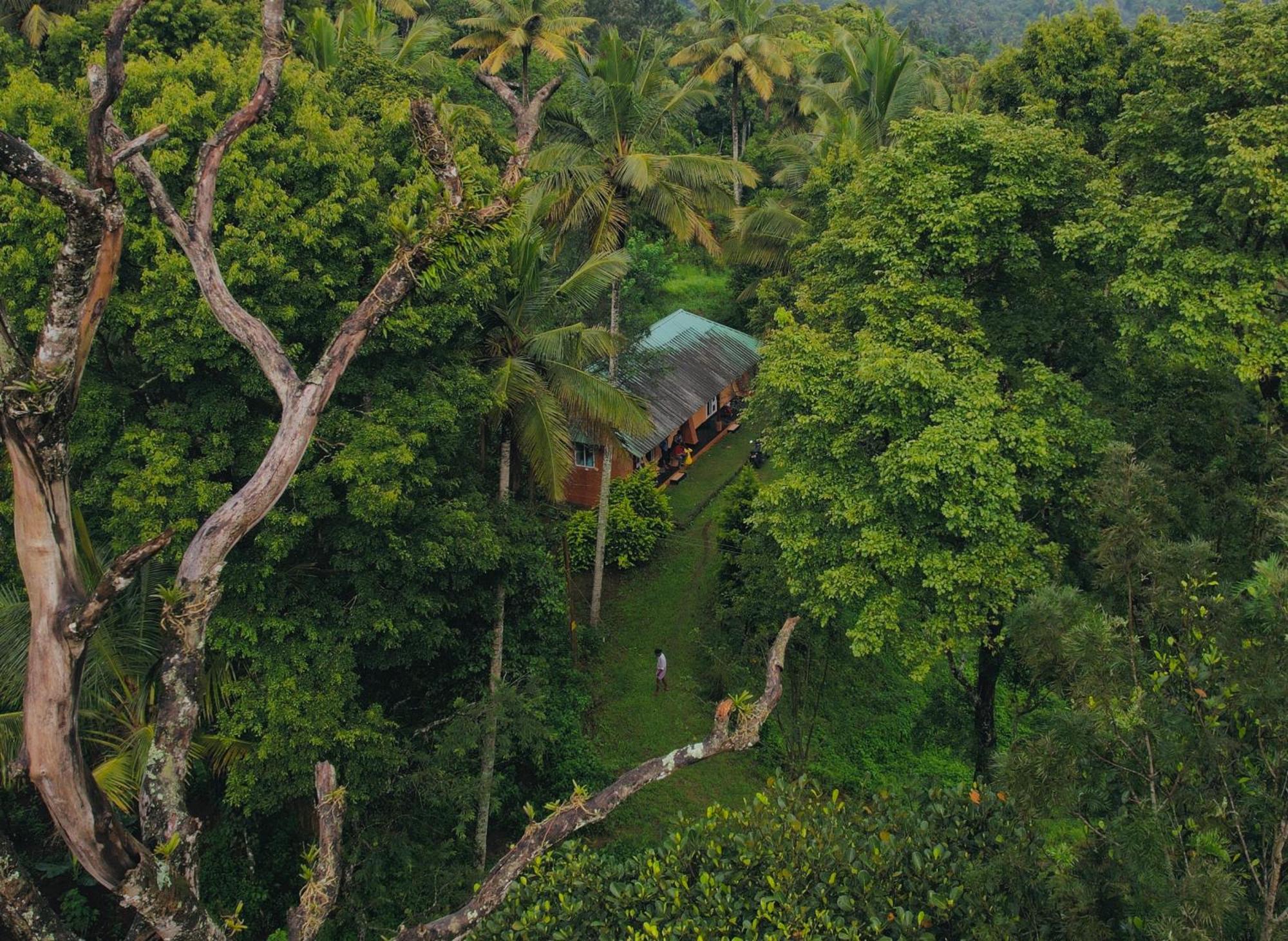 Punarjani Ayurvedic Resorts Ramakkalmedu Esterno foto