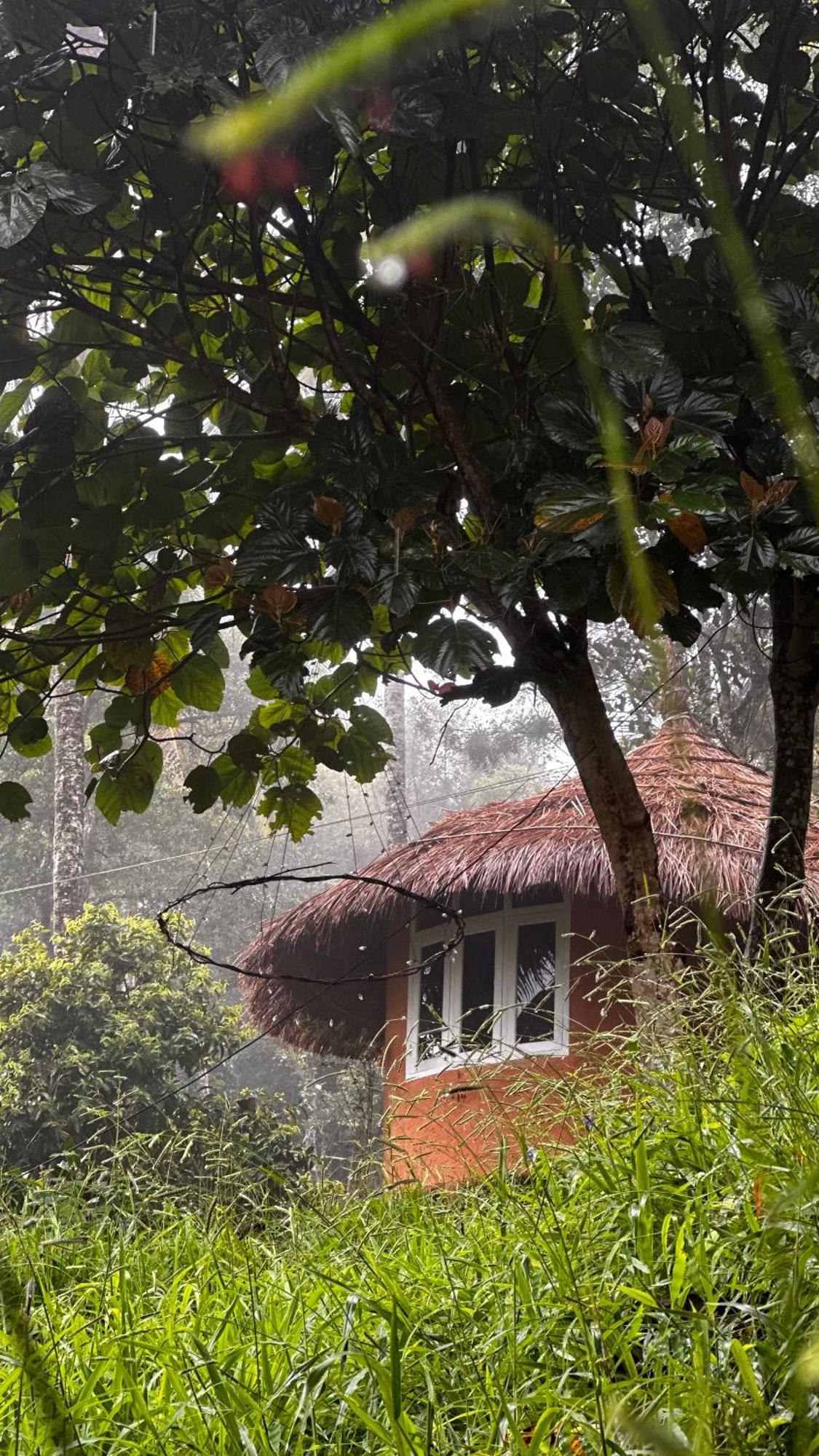 Punarjani Ayurvedic Resorts Ramakkalmedu Esterno foto