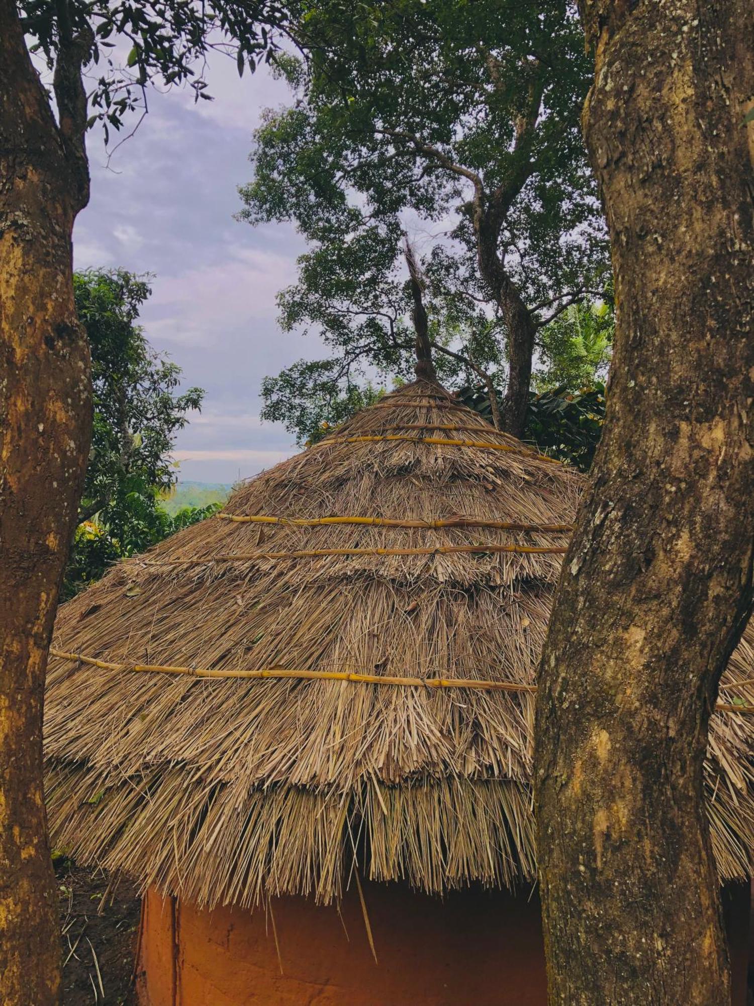 Punarjani Ayurvedic Resorts Ramakkalmedu Esterno foto