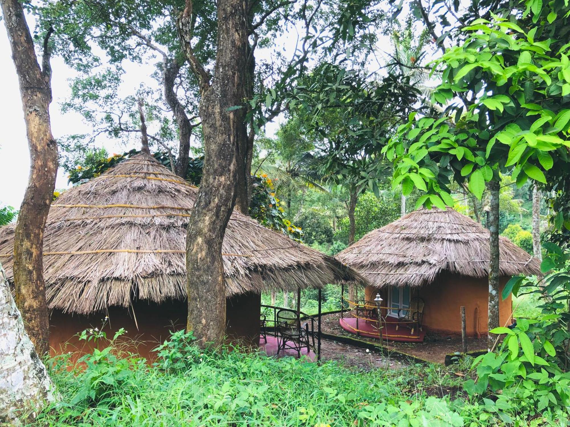 Punarjani Ayurvedic Resorts Ramakkalmedu Esterno foto